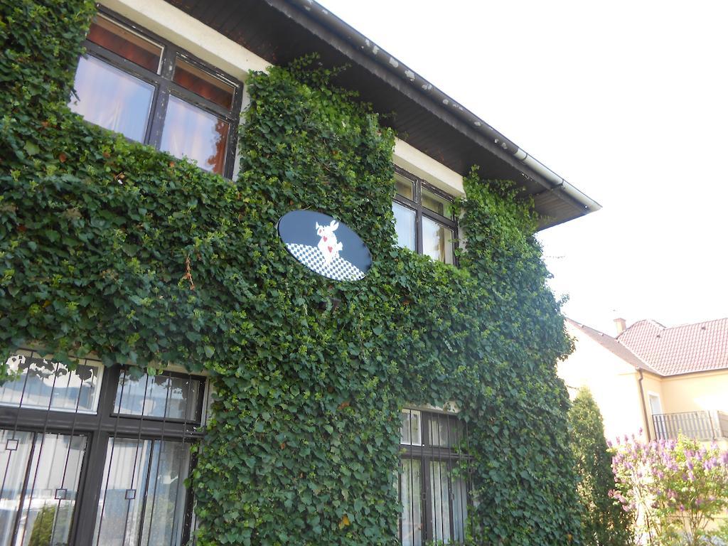 White Rabbit Hall Hotel Poděbrady Buitenkant foto
